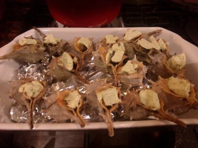 escargots en persillade